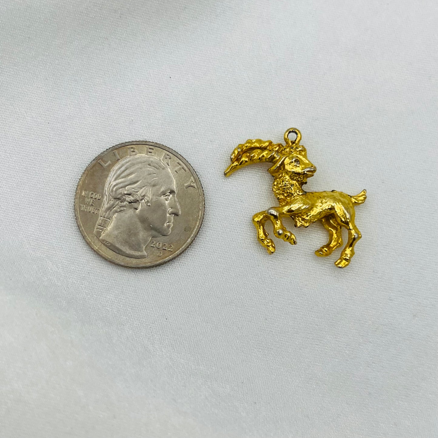 Capricorn Zodiac Charm