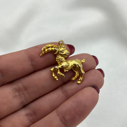 Capricorn Zodiac Charm