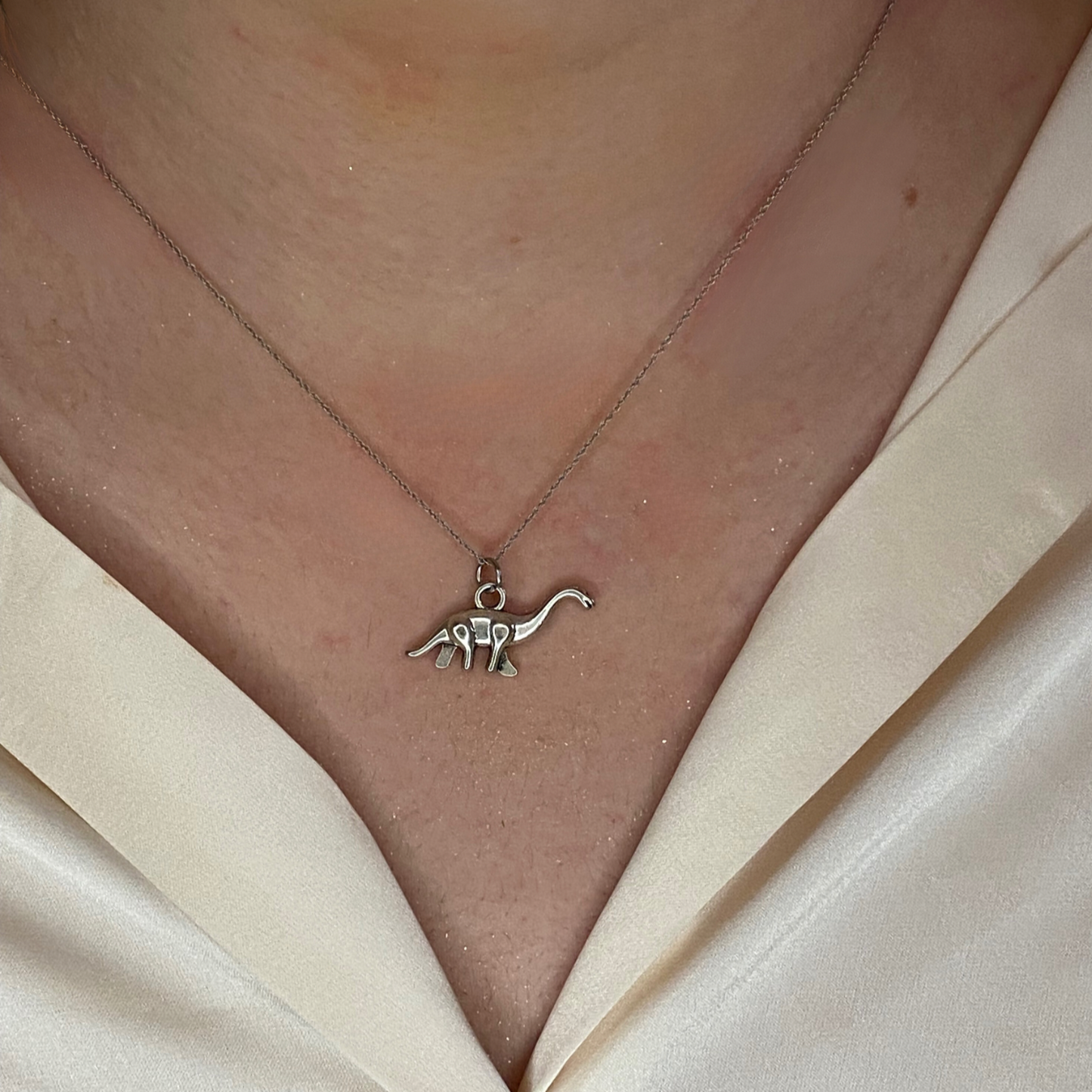 Dino Charm
