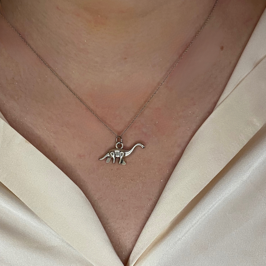 Dino Charm
