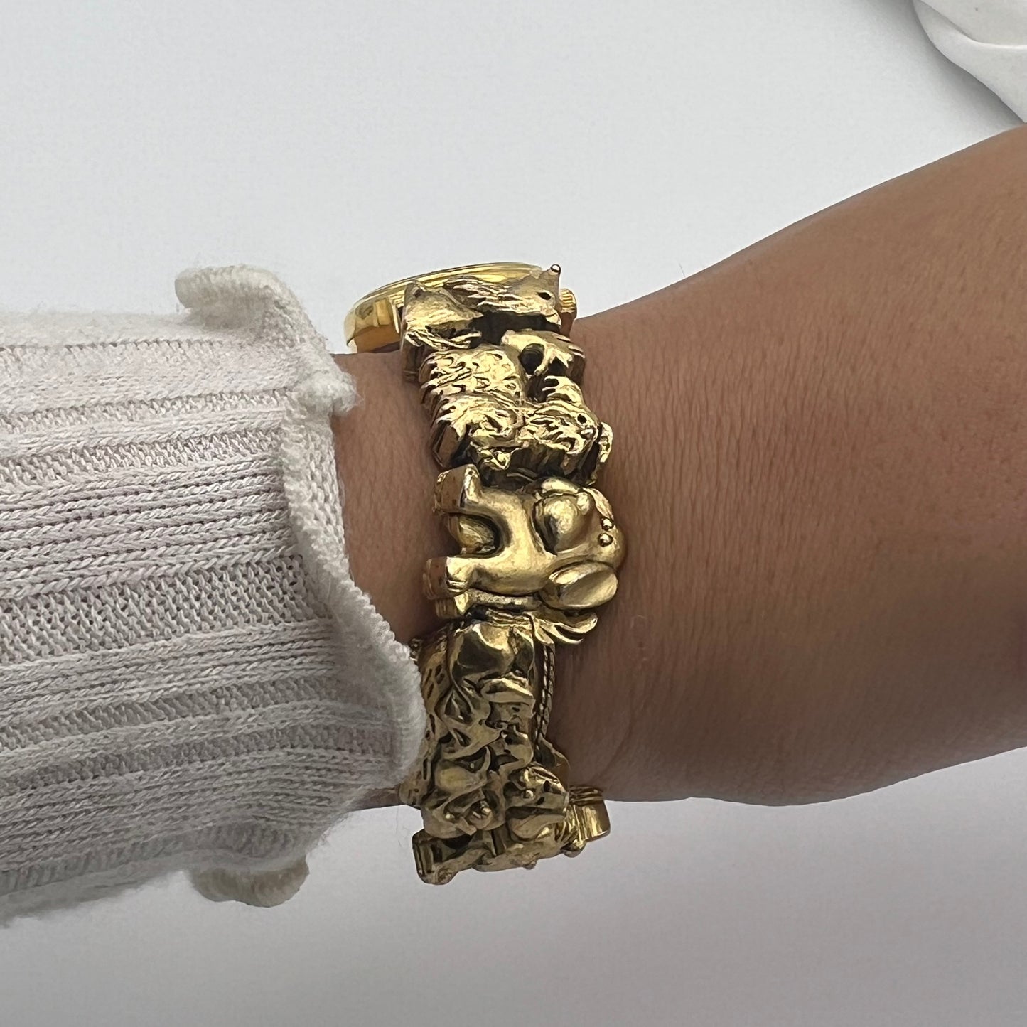 RARE Dog Slide Charm Watch