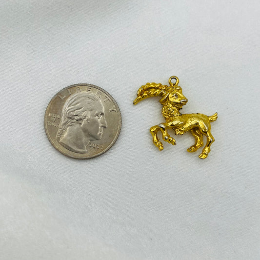 Capricorn Zodiac Charm