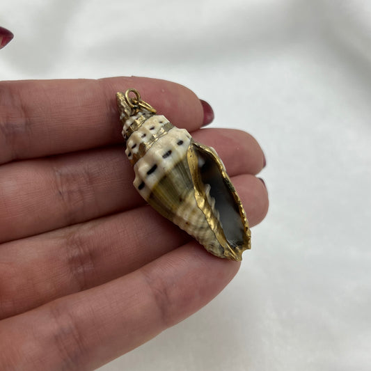 Gold-Toned Trimmed Shell Pendant