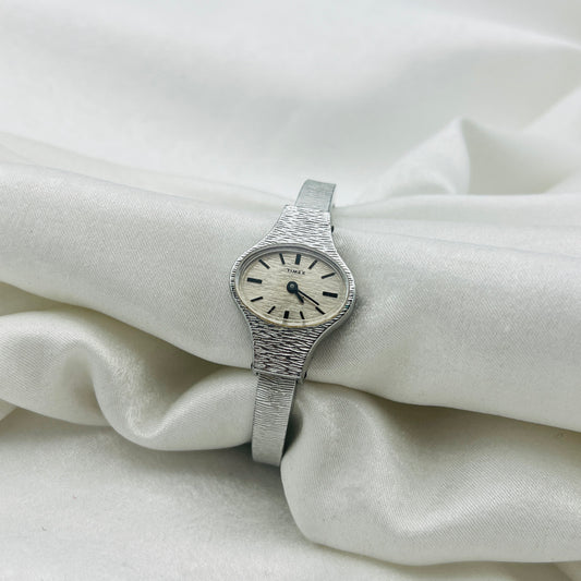 Brushed Silver-Toned Timex Watch