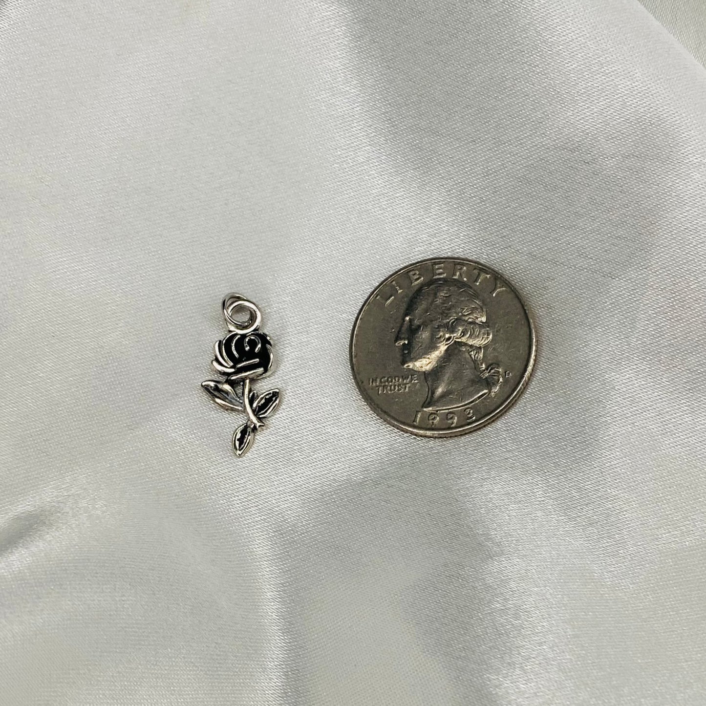 🌟 Dainty Silver Charms