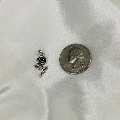 🌟 Dainty Silver Charms