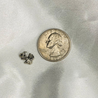 🌟 Dainty Silver Charms